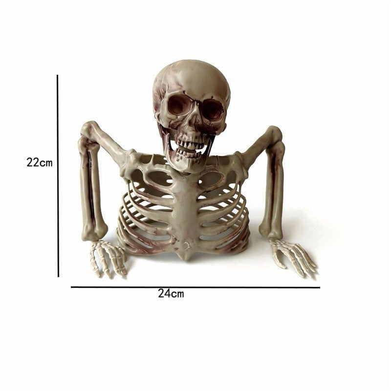 Halloween Skeleton Prop Half Torso White Plastic Tabletop Decor - Variation 022#A