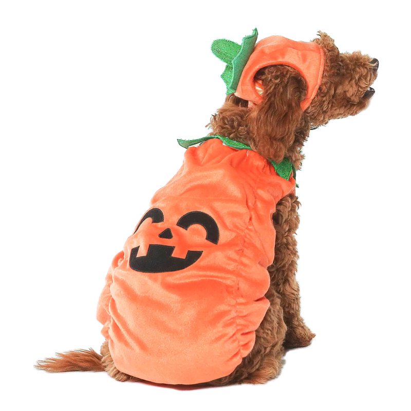 Pet Halloween Jack-O-Lantern Costume with Hat - Small