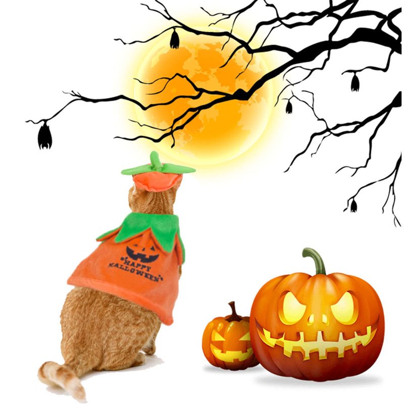 Pet Halloween Costume Pumpkin Cloak & Hat Set - Adjustable for Cats & Kittens - S (Neck 12-17 In)