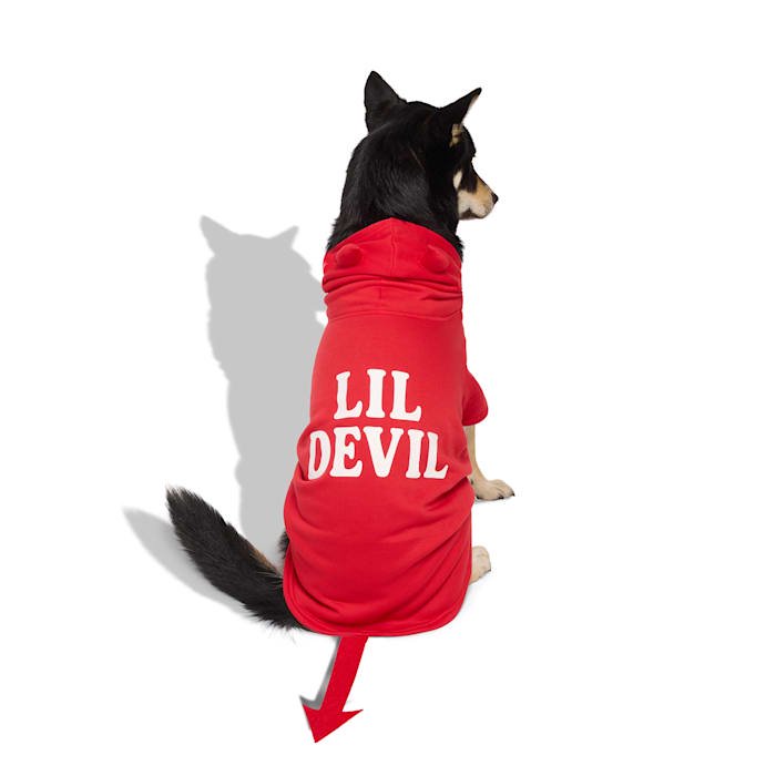 Petco Lil' Devil Pet Costume Hoodie Medium - Halloween Pet Dress-Up