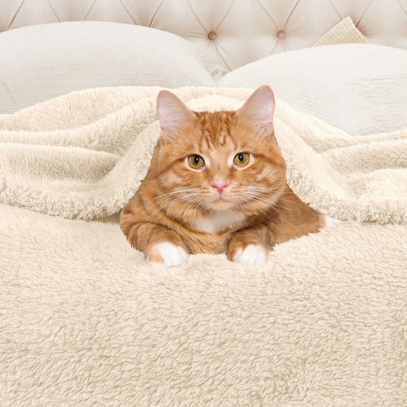 Superior Super Soft Plush Fleece Blanket 90x90 Full/Queen Ivory - Cozy Bed & Couch Throw