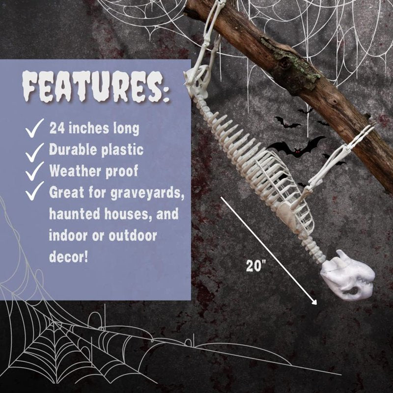 Giant 2 Ft Halloween Sloth Skeleton with Hangable Limbs for Indoor & Outdoor Decor