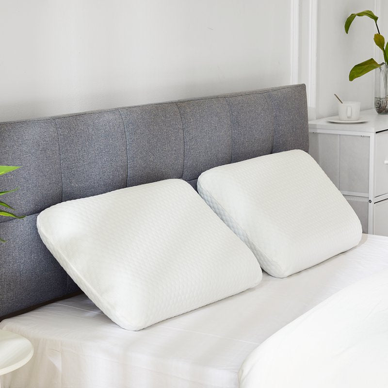 GIANNA Memory Foam Pillow Set with 2 Covers - Neck Pain Relief, Ergonomic Support