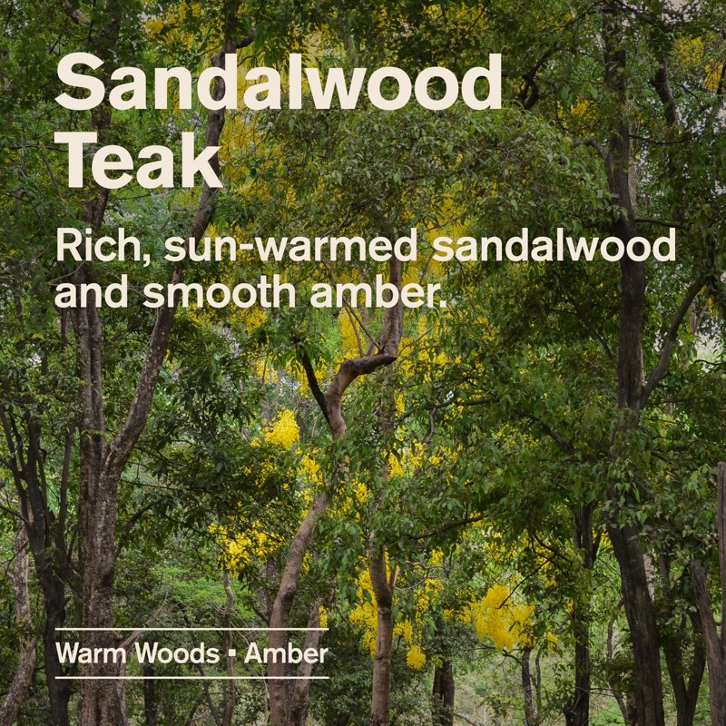 Sandalwood & Teak Hydrating Body Wash for Men - Naturally Derived Formula