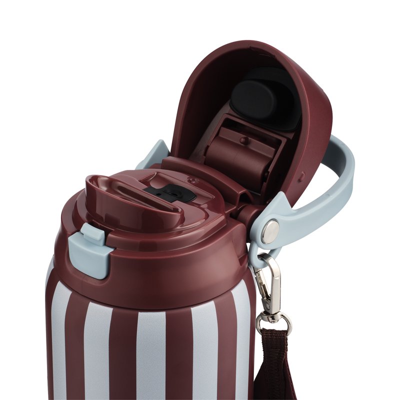 32oz Stainless Steel 2-in-1 Straw and Chug Water Bottle - Stripes