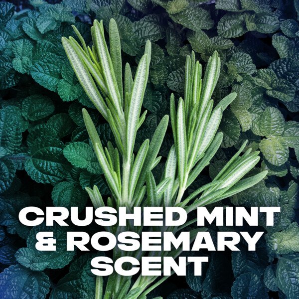 Long Lasting Men's Deodorant Stick Twin Pack - Crushed Mint & Rosemary, 3 oz