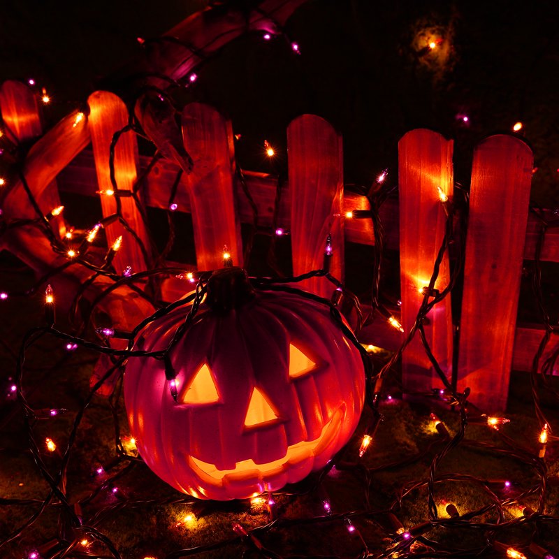 Halloween String Lights 25ft Purple & Orange Connectable Mini Bulb Lights for Indoor Outdoor Decor