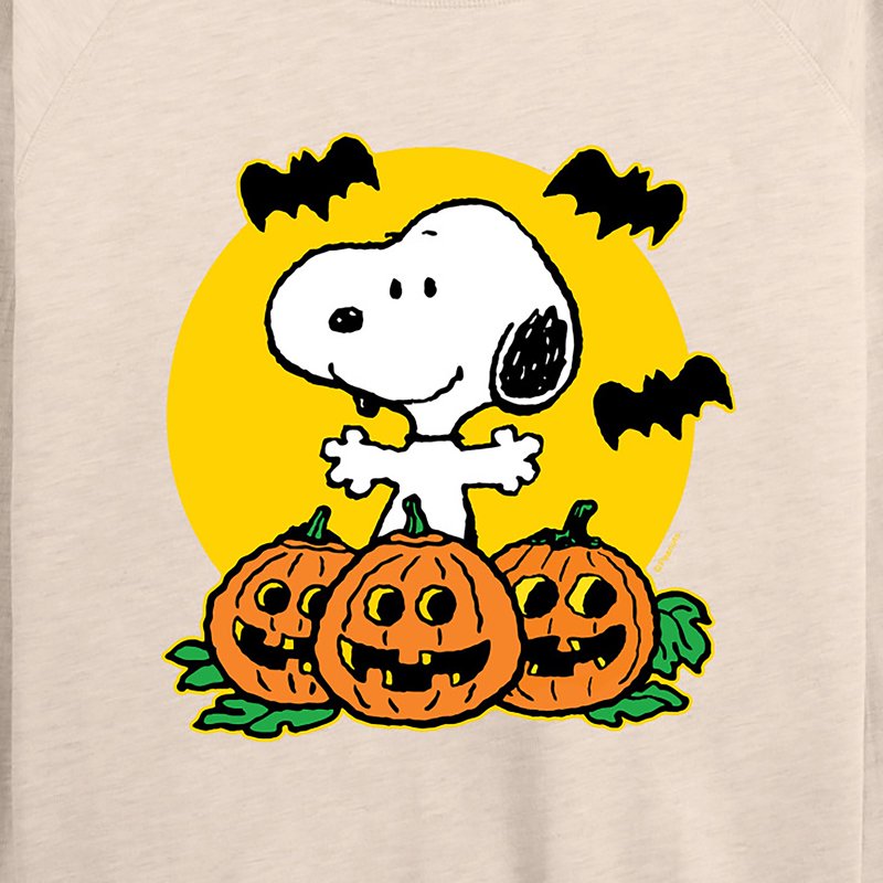 BIRCH Peanuts Snoopy Pumpkin Patch Lightweight French Terry Long Sleeve Shirt - 4X