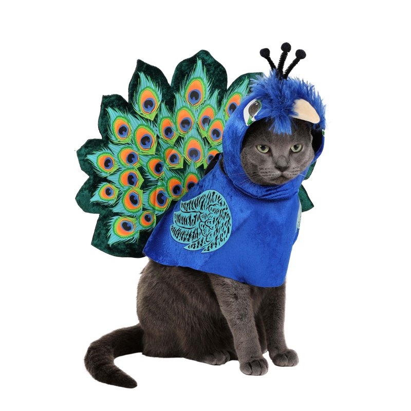 Pet Costume S Pretty as a Peacock Dog Costume - Colorful Feather Design
