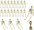 Skiennix Mini Skeletons | 20 Pcs Posable 6" Halloween Figurines for Spooky Decor & Party Favors