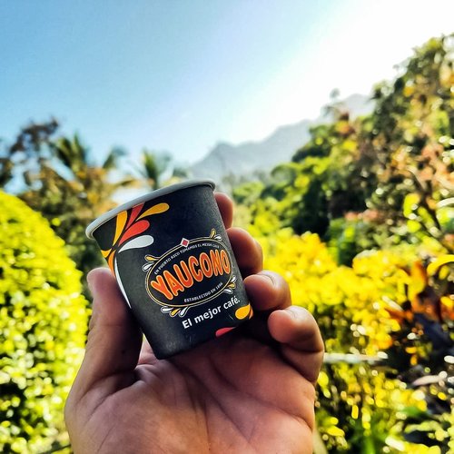 Yaucono Decaf Ground Coffee 8.8 Ounce Canister (Pack of 1)