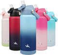 Skiennix Insulated Water Bottle - 24 oz Stainless Steel with Straw Lid & Silicone Handle - Sky Blue