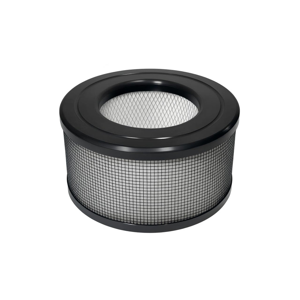 Nispira 20500 High Efficiency True HEPA Filter Replacement Carbon Pre Filter for Honeywell Air Purifier 10500 (EV-10) 17000 17000-S 17005 2 Sets