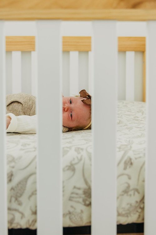 Copper Pearl Premium Knit Baby Crib Sheets for Boys and Girls : Breathable and Soft, Fitted Crib Sheets for Standard Baby Mattresses, Crib Sheet, Baby Registry or Shower Gift, Jurassic Park Fossils