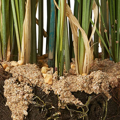 Nearly Natural Papyrus Plant with Faux Soil Arrangement