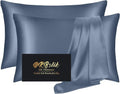 **Skiennix Mulberry Silk Pillowcases - Soft, Smooth, Anti-Acne Beauty Sleep Set of 2 | Ash Blue**