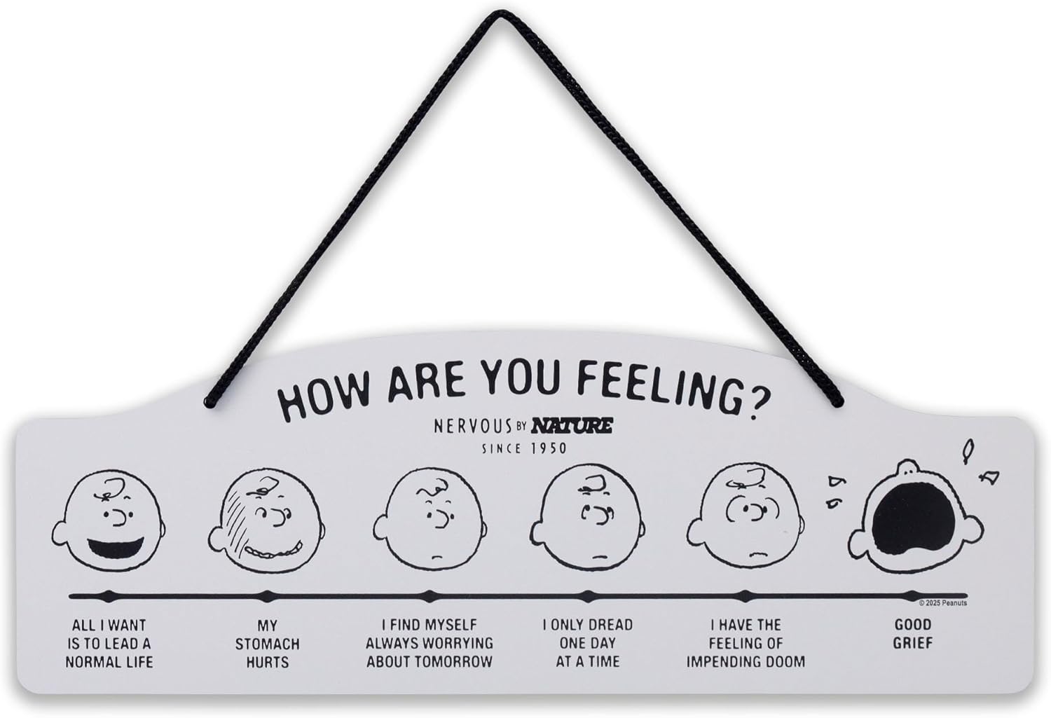 Peanuts How Are You Feeling Hanging Metal Sign - Humorous Wall Decor for Home | Perfect Gift Idea