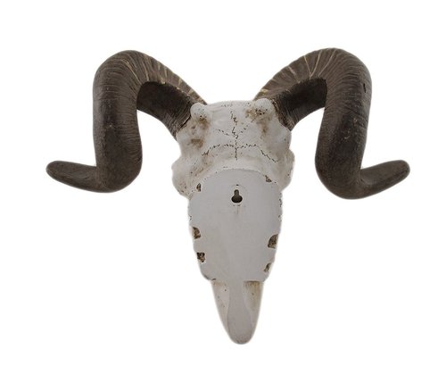 Deco 79 Polystone Sheep Home Wall Decor Skull Wall Sculpture, Wall Art 14" x 5" x 12", White