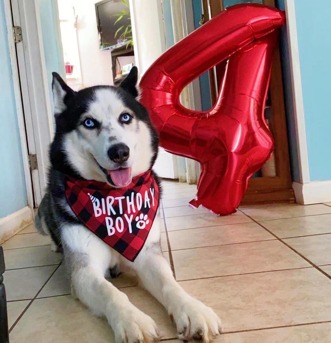 40 Inch Red Number 8 Balloon - Perfect for 8th Birthday Celebrations, Weddings & Graduations