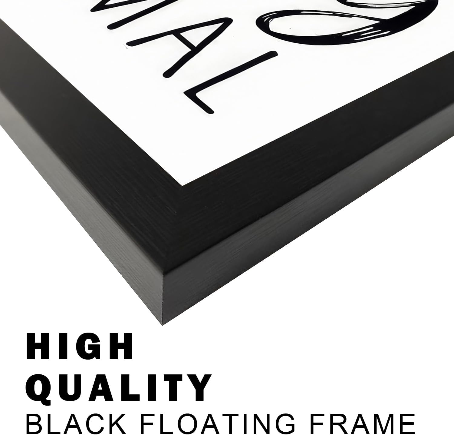 Regine Switzerland Black and White Bathroom Decor Art - Framed Canvas Print for Kid's Washroom