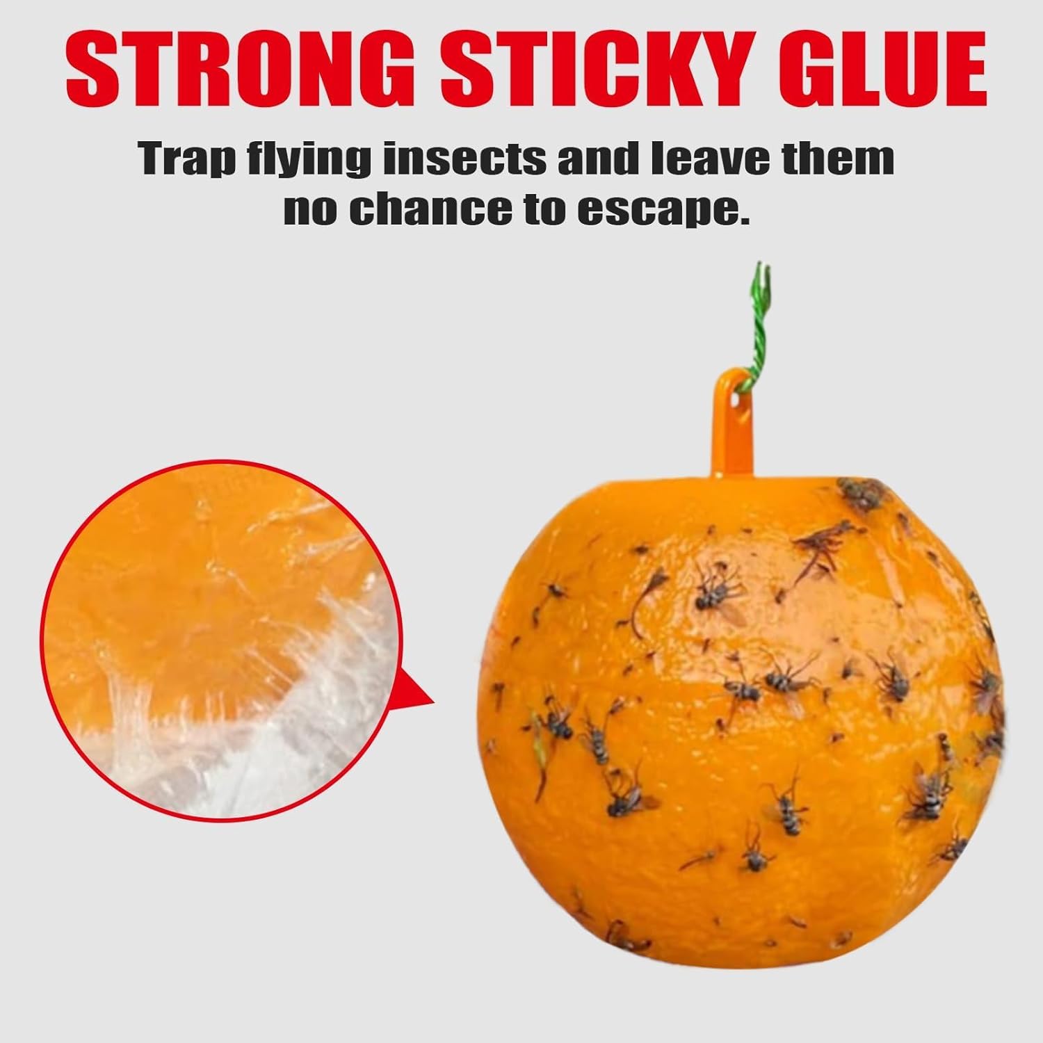 Skiennix 6 PCS Fly Sticky Trap Balls - Effective Fruit Fly & Gnat Catchers for Indoor & Outdoor Use