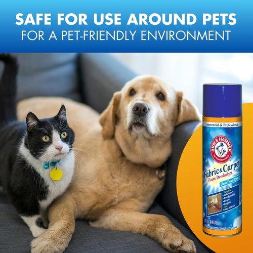 Fabric and Carpet Foam Deodorizer Professional, Aerosol, Fresh Scent, 15 fl oz (Case of 8)