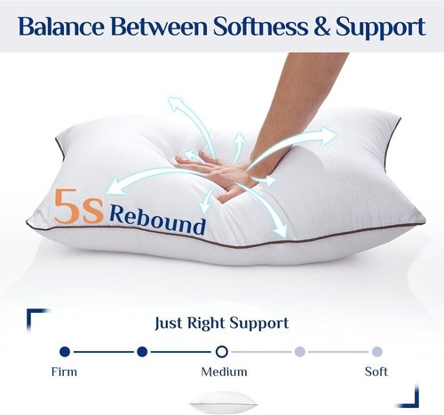 JOLLYVOGUE Queen Size Pillows - Soft Down Alternative Set of 2 for Side & Back Sleepers | Hotel Collection