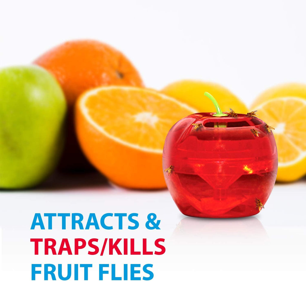 Raid Fruit Fly Traps - Effective Indoor Gnat Catcher with 2 Lures & 2 Refills | Safe, Easy-to-Use Solution