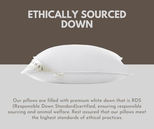 baisihan Premium Goose Down Pillows Standard Size - 700+ Fill Power, Down Pillow for Stomach Sleeper, 100% Cotton 500 TC Cover Down Pillow Standard Size Plush Pillow 1 Pack 20"x26"