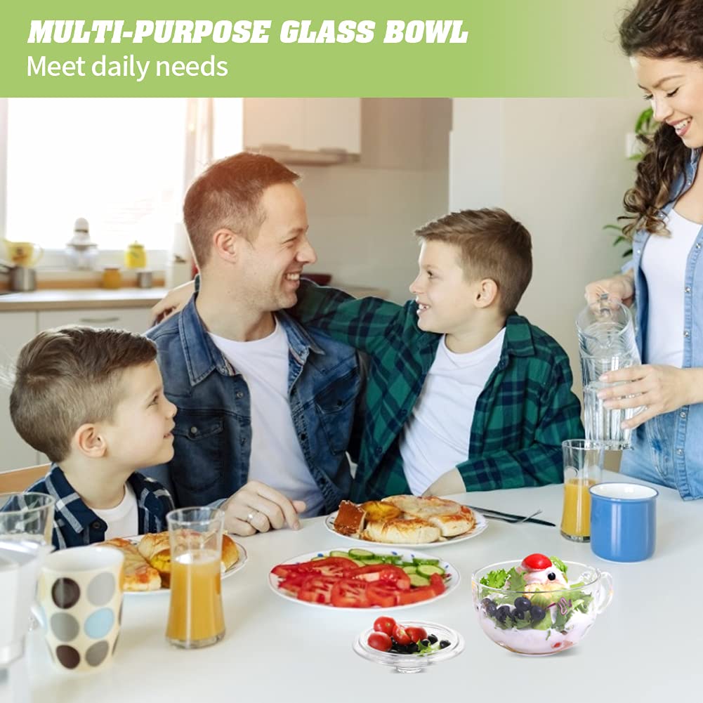 Foyofly Glass Cereal Bowl Soup Bowl with Handle Clear Small Bowls with Lid Oatmeal Breakfast Bowls Microwave Safe Glassware Yogurt Bowl Dessert Pasta Rice,500ml/16 oz