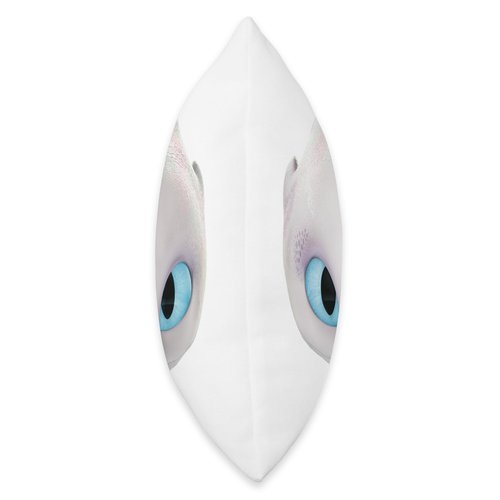 DreamWorks Dragons Light Fury Big Face Costume 3D Throw Pillow