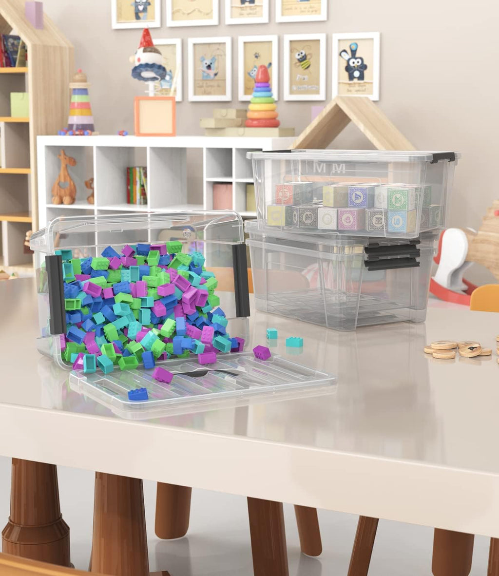 WYT Clear Storage Latch Bins - 6-Pack Organizer Boxes with Handles & Lids | 5-Litre Capacity