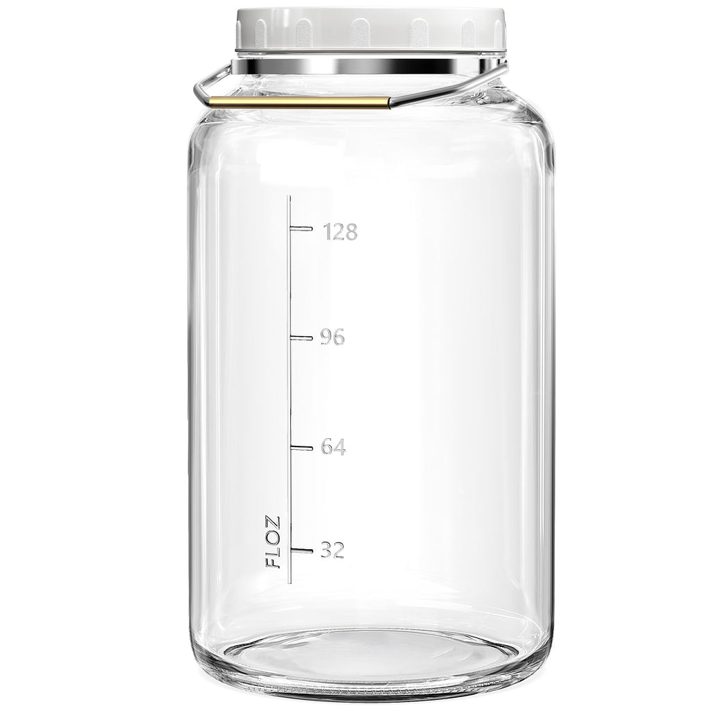 Qianfenie 2 Gallon Glass Jar with Airtight Lid, Wide Mouth Mason Jar with Lids(7600ML), Set of 1, 2 Gallon Large Glass Jar with Lid and Stainless Steel Handle