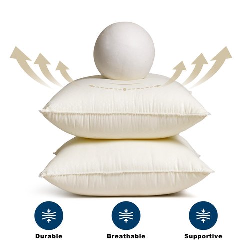 Awvco 18 x 18 Throw Pillow Inserts - Soft and Plush, Virgin Fiber Filling, Decorative Pillows for Couch Sofa Bed, Machine Washable - White, Pack of 2