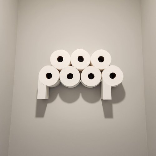 The Original Poop Toilet Paper Holder - Functional and Fun! Bathroom Wall Decor & Toilet Paper Shelf Storage Rack - Shorty P
