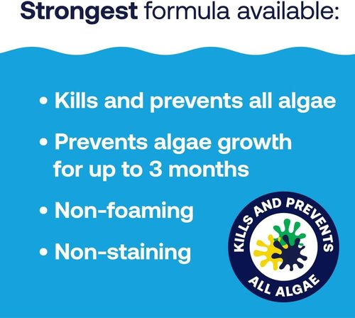 HTH 67244 Algae Guard - Long Lasting Formula for Green, Black & Mustard Algae | Fast Acting 32oz