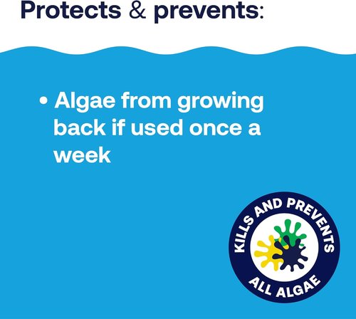 HTH 67084 Algae Guard - Advanced All Algae Eliminator for Swimming Pools | Fast-Acting, 32 fl oz