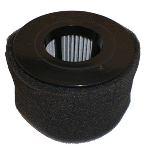 BISSELL Poweredge 81L2 Series Filter Pack, New OEM Part, 54A2, Black