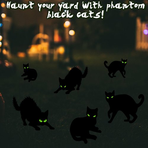 Halloween Decorations Outdoor - 6 Pack Corrugated Plastic Black Cat Decor with Stakes, Glow in The Dark Eyes Scary Silhouette Yard Signs, Waterproof for Garden Graveyard Patio Party Lawn