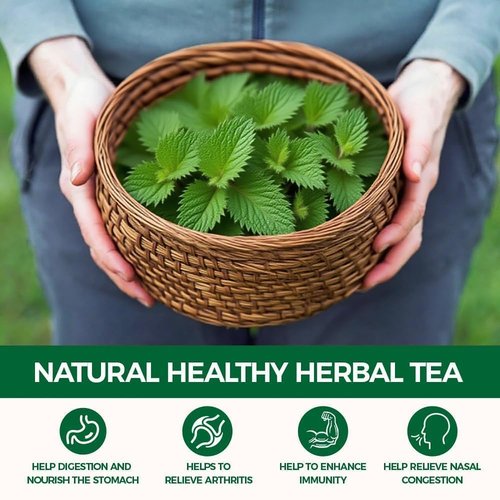 WOTIHA Premium Natural Nettle Leaf Tea Bags, 60 Count – 100% Pure Herbal Tea,Supports Kidney & Joint Health Caffeine-Free, Non-GMO, Additive-Free, Gluten-Free