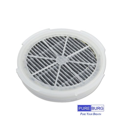 PUREBURG GL-2103 Replacement Filter Compatible with RIGOGLIOSO JINPUS MELEDEN Houzetek WSTA DHS COSTWAY & SY900S Air Purifiers,2-Pack HEPA Activated Carbon 2-in-1
