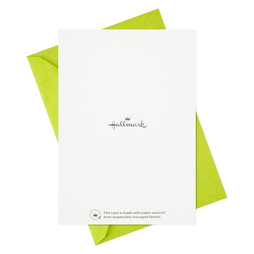 Hallmark Thank You Cards Assortment, Cute Dogs (48 Cards and Envelopes)