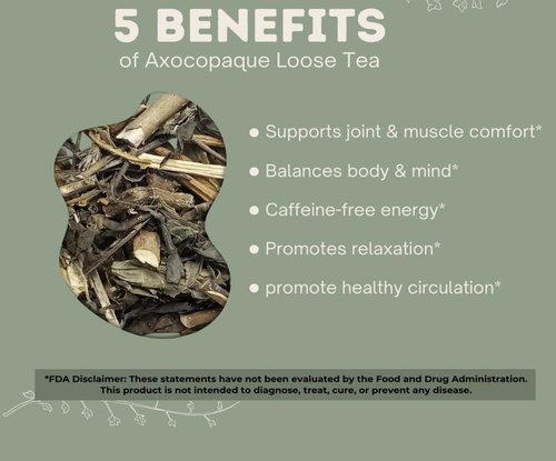 5oz Axocopaque Tea Tearberry Herbal Tea - 40+ Cups | Loose Leaf - Wildcrafted hierba/te, Wintergreen herbs,Gaultheria procumbens, wintergreen IMPORTED FROM MEXICO
