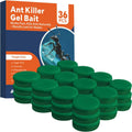 Skiennix Ant Killer Gel Bait Stations - 36 PCS Extra Strength Traps for Carpenter Ants | Safe & Easy to Use
