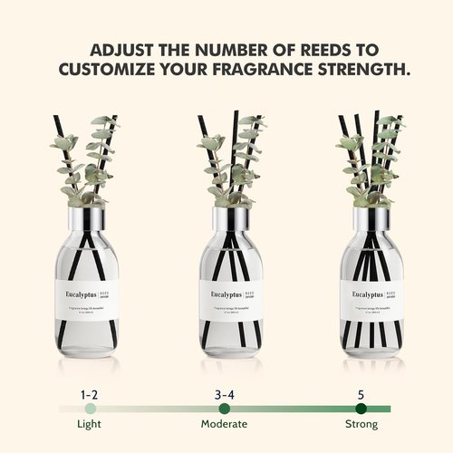 Clesh Eucalyptus Reed Diffuser Set - 6.7 Oz Home Fragrance with Sticks for Elegant Bathroom Decor
