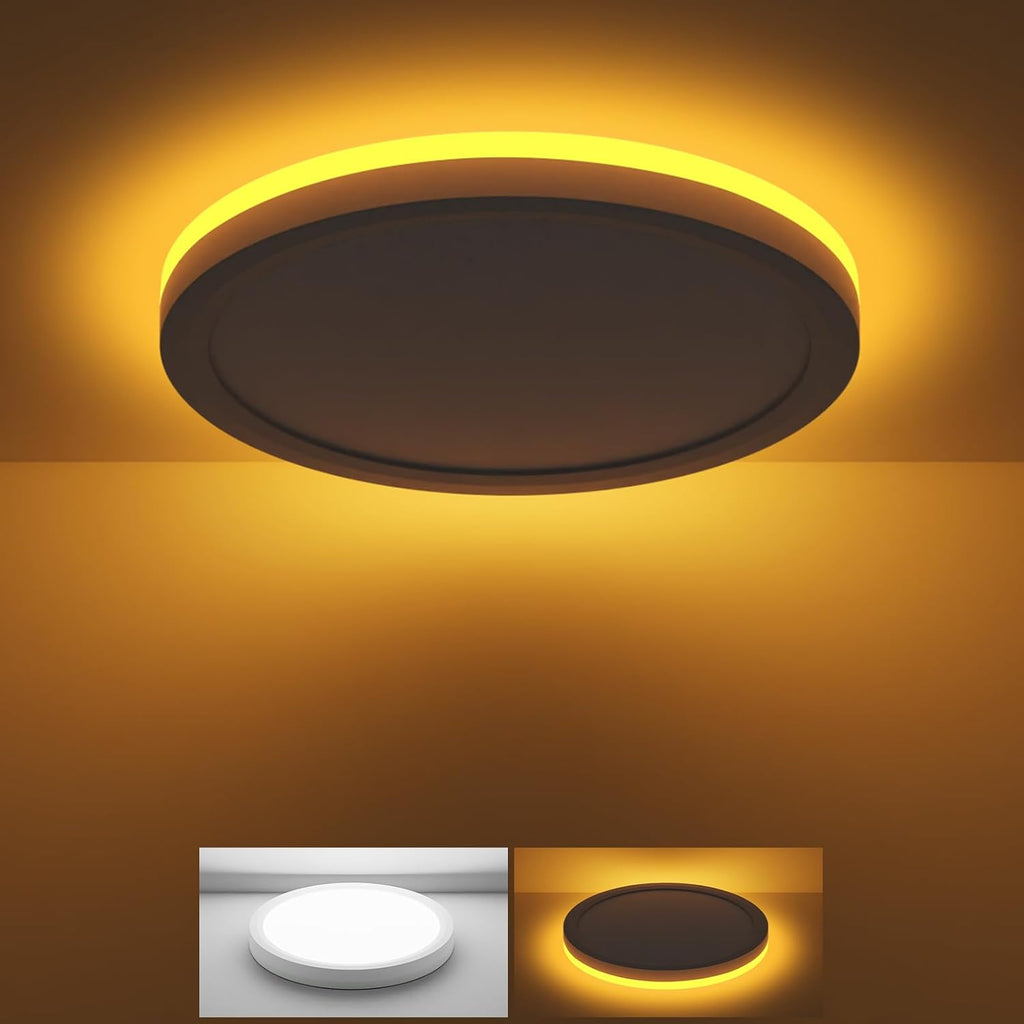 Skiennix 12 Inch LED Ceiling Light - 24W 2400LM Adjustable Warm to Cold Light | Round White Flush Mount for Bedroom, Bathroom, Kitchen