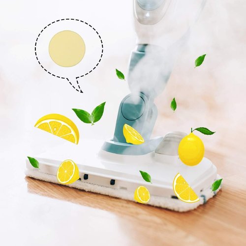 Blulu 24 Pcs Fragrance Discs Replacement Steam Mop Scent Disc Practical Fragrance Scented Pads Disc Compatible with Powerfresh and Symphony Series,Model 1940, 1806 and 1132