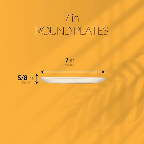 [7'' 240 Pack] 7'' inch Premium Heavy Weight Crystal Clear Classy Disposable hard Plastic Salad plates