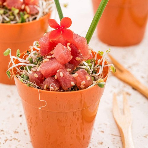 Restaurantware 4 Ounce Dessert Cups 100 Flower Pot Ice Cream Cups - Sturdy Disposable Terracotta Plastic Appetizer Cups For Layered Desserts Use At Garden Theme Parties Birthdays Or Weddings