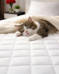 Quilted Fitted Mattress Pad Protector Queen Size - Elastic Fitted Mattress Topper & Cover - Breathable, Soft, Low Profile Top Cover with 8-16 Inch Deep Pockets - Easy-Fit & Machine Washable - White